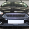 Защита радиатора "Standart" Ford Focus III рестайлинг (2014-2019) под датчик ACS+ASLD, чёрная купить недорого с доставкой в Саров