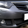 Защита радиатора "Standart" Honda Accord (2008-2011) чёрная купить недорого с доставкой в Саров