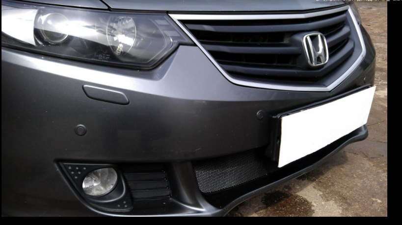 Защита радиатора "Standart" Honda Accord (2008-2011) чёрная купить недорого с доставкой в Саров